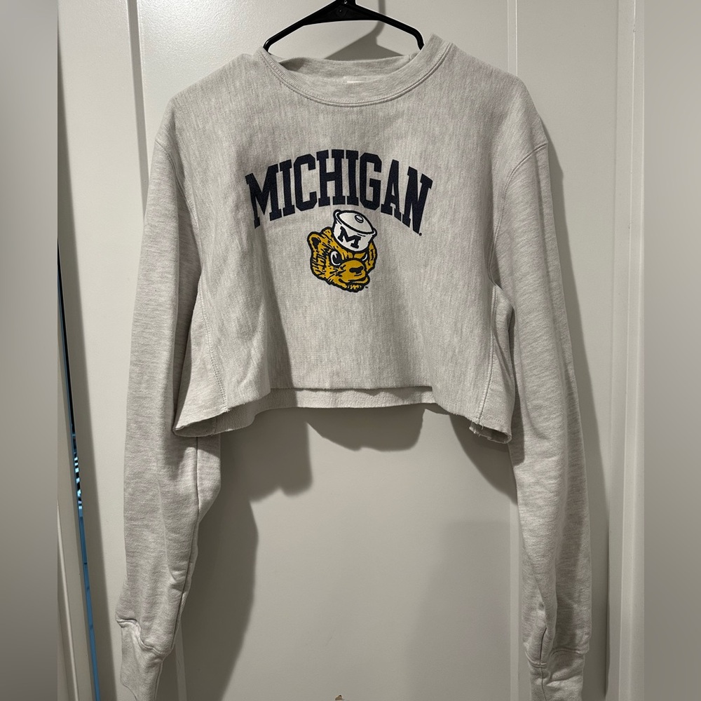 Champion Women's Gray Michigan Cropped Hoodie - Picture 2 of 5